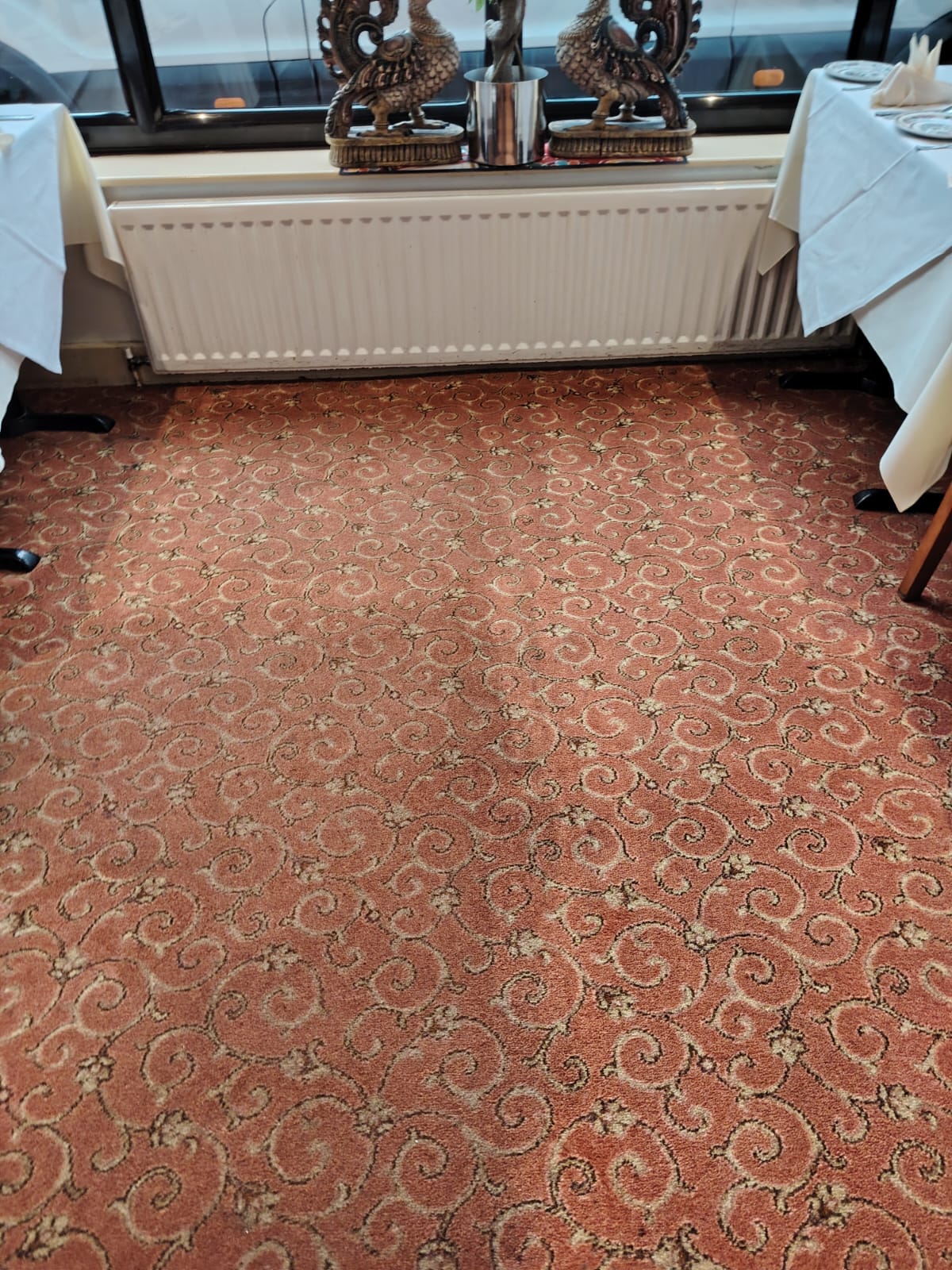 Carpet cleaning before and after photo 1